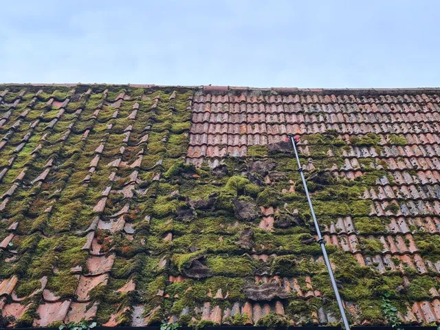 Roof Cleaning and Moss Removal